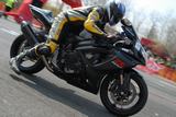 rabaring_070407_25.jpg