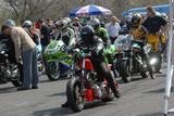 rabaring_070407_29.jpg
