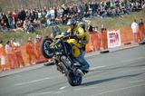 rabaring_070407_50.jpg