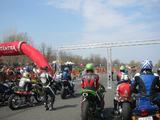 rabaring_070407_52.jpg